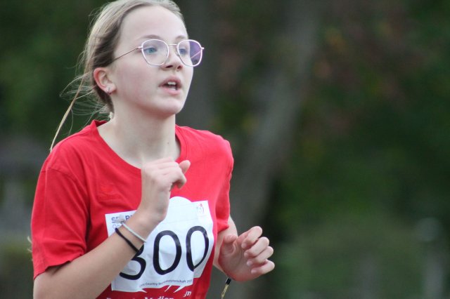 CrossCountryBezirksmeisterschaft_2024